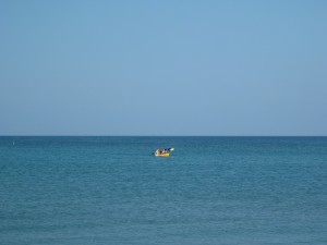 IMG_1381