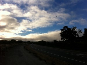 early-morning-run