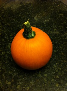 tiny-perfect-pumpkin