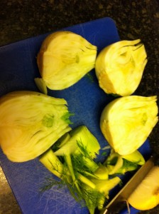 fennel-bulbs