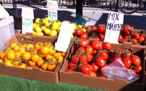 tomatoes-for-sale