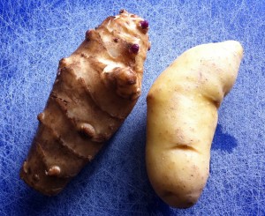sunchoke-fingerling