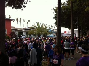 see-jane-run-starting-line