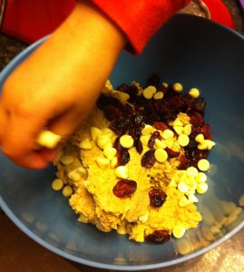 cranberries-white-chips