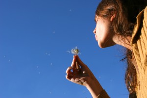 Image courtesy of Shutterstock